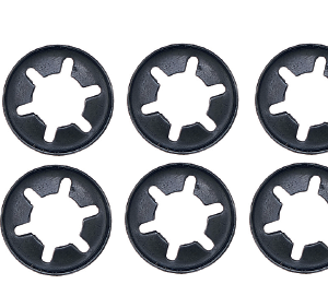 K19001009 - Juego de anillas de retención BPW TSB